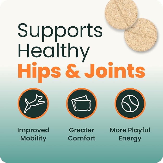 VetriScience Extra Strength Healthy Hip & Joint Chewable Tablets, GlycoFlex Glucosamine and Green-Lipped Mussel Joint Support Supplement for Dogs, Soothe Joint Discomfort, Chicken, 120 Count