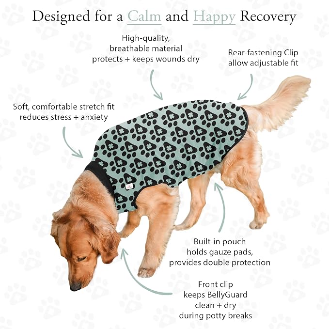 BellyGuard Dog Surgery Recovery Suit, Post-Op Dog Recovery Suit for Female Spay & Male Neuter, Comfy Onesie for Pets, Surgical Body Cover for Canine Healing Support