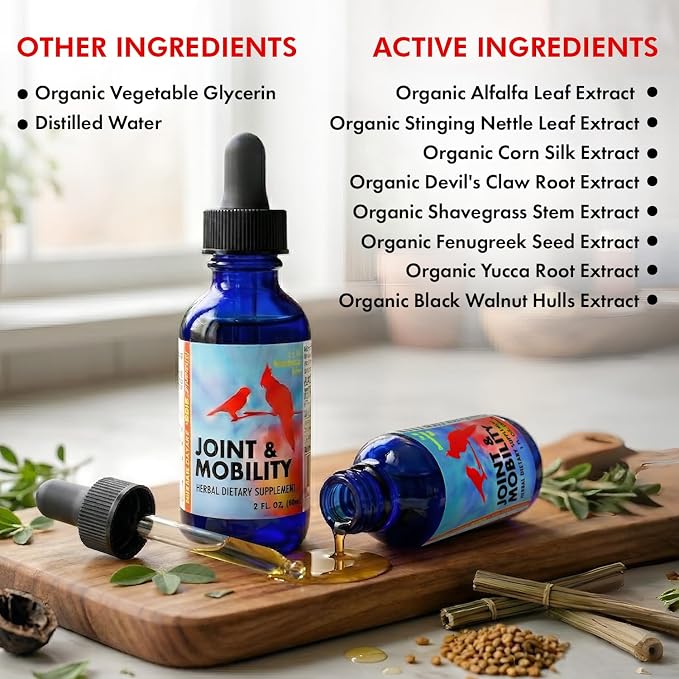 Morning Bird Joint & Mobility 1 fl oz – Herbal Liquid Supplement for Birds – Supports Joint Health, Muscle Comfort & Mobility – Ideal for Aging or Recovering Birds