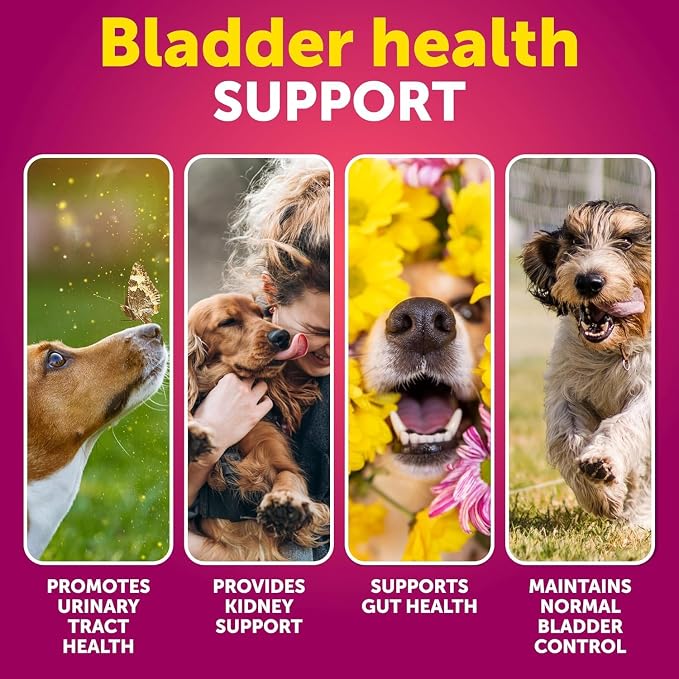 Dog UTI Treatment + Probiotic Chews Bundle - Cranberry Supplement for Bladder & Kidney Support - Probiotics & Prebiotics for Gut Health, Immunity, Yeast Balance, Reduces Diarrhea & Allergies