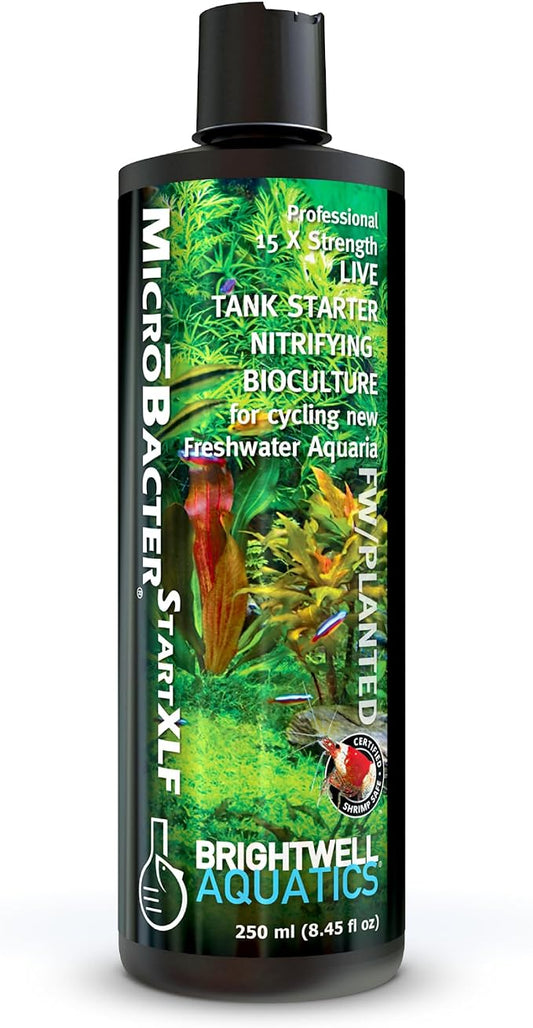 Brightwell Aquatics MicroBacter Start XLF Freshwater Tank Starter, 250 ml