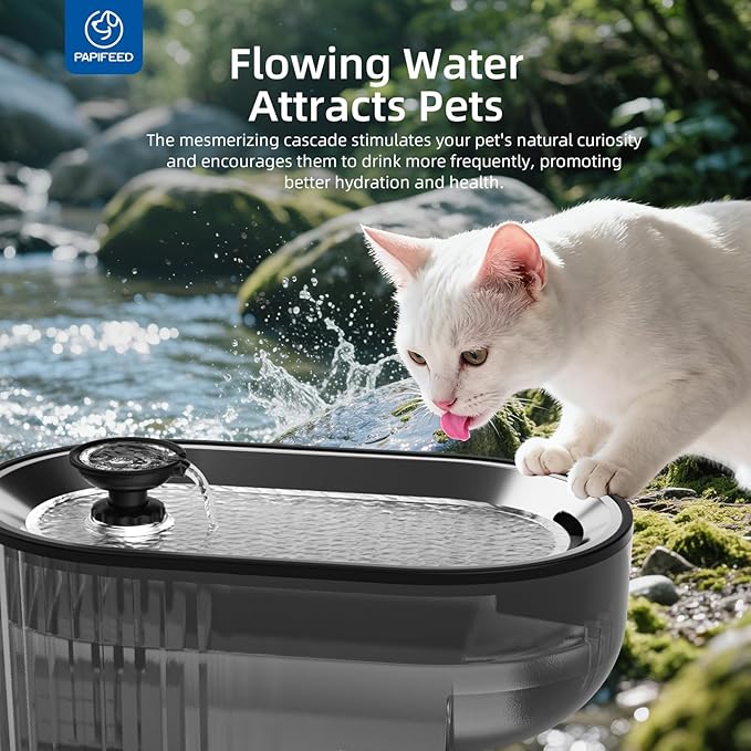 PAPIFEED Cat Water Fountain Stainless Steel with a Silicone Mat, 84oz/2.5L Automatic Pet Fountain with Water Level Window and LED Light, Quiet Low Power Cat Water Bowl & Cat Water Dispenser(Black)