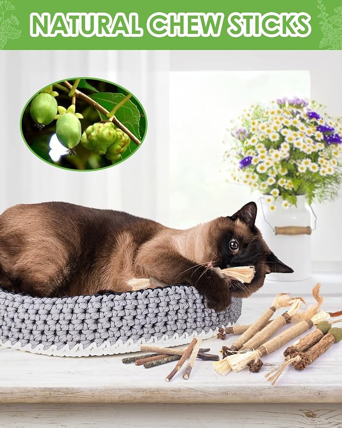 TINDTOP 15 Pack Silvervine Chew Sticks, Natural Catnip Chew Toys for Kittens Teeth Cleaning, Matatabi Dental Care, Increase Appetite, Calm Cat Anxiety and Stress