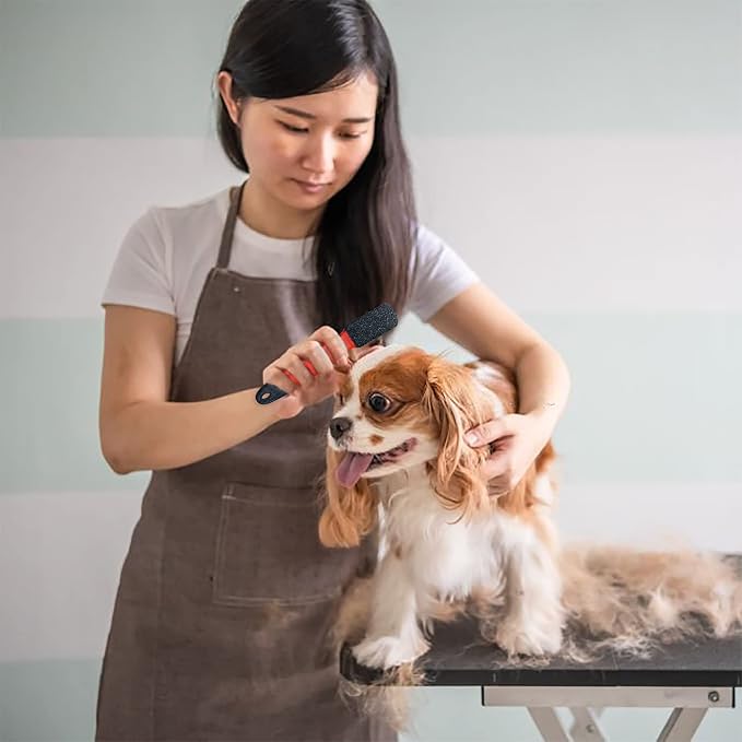Stripping Metal Stone Diamond Edged for Dogs, Cats & Pets with Plastic Grip (Coarse)