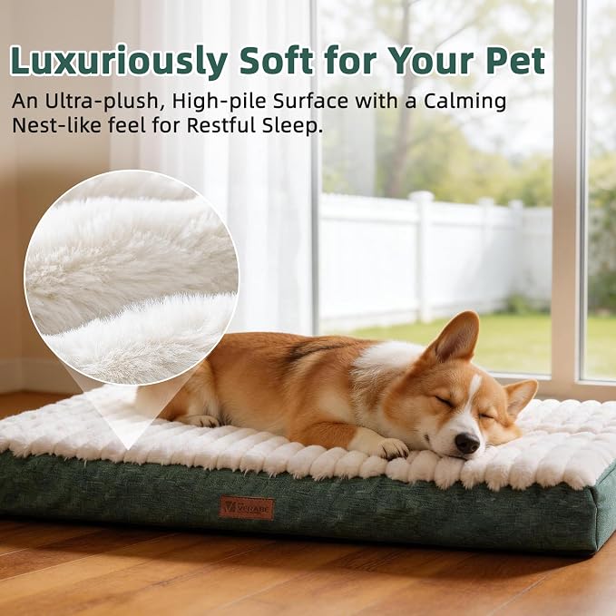 Orthopedic Dog Bed with Firm High-Density Egg Crate Foam Mattress,Soft Short Plush Surface Pet Beds,Machine Washable with Removable Cover & Non-Slip Bottom for Small Breeds (Green, 23"L x 17"W x 3"H)