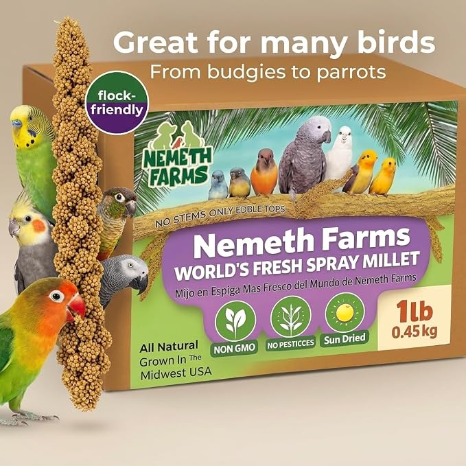 Nemeth Farms Spray Millet - Edible Tops Only, Non-GMO and Sun-Dried - 1 lb for Parakeets, Canaries and Finches
