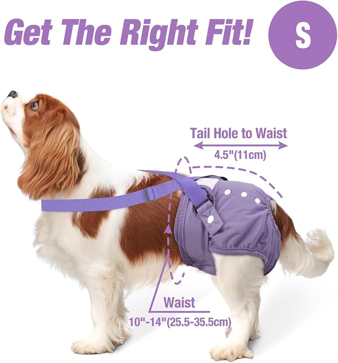 Pet Soft Dog Diapers Female with Suspenders, 3 Pack Reusable Female Dog Diapers for Heat, Dog Period Panties for Doggie in Cycle(Small, Pinkycolor)