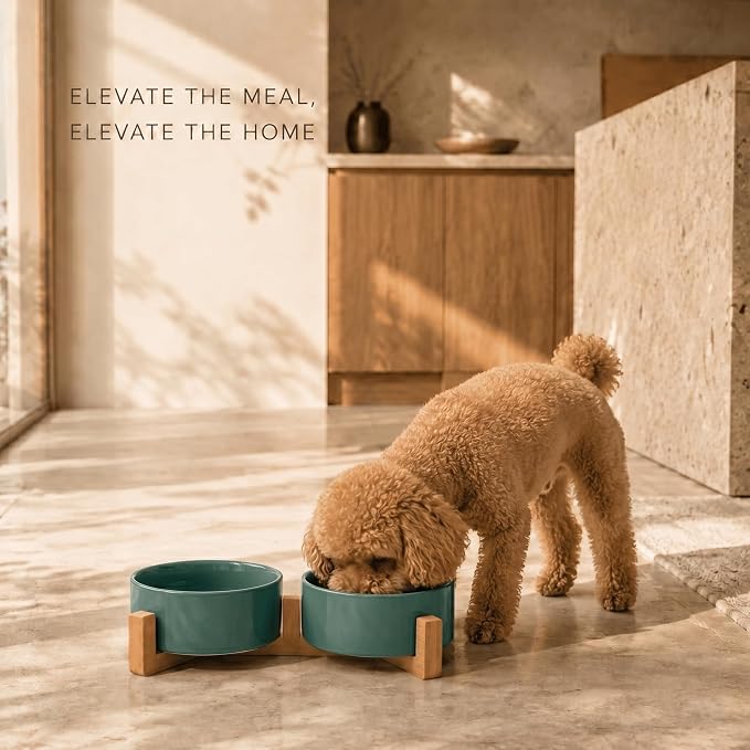 SPUNKYJUNKY Ceramic Dog and Cat Bowl Set with Wooden Stand, Modern Cute Weighted Food Water Set for Small Size Dogs (13.5OZ) & Medium Sized Dogs (28.7OZ) & Cats (1.7 Cups, 2 × Light Green)