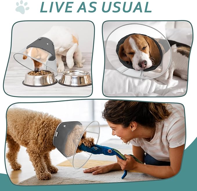 Dog Cone Collar with Snap-on Detachable Soft Liner, Lightweight Transparent Elizabethan Alternative to Stop Licking, for Spay Neuter Surgery Recovery, for Medium Large Small Dogs (Black,XL)
