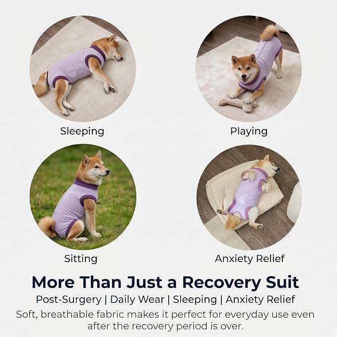 Dog Recovery Suit After Surgery, Abdominal Wound Protection Onesie, Anti-Licking Substitute for E-Collar & Cone, Relieves Anxiety, Easy to Put On, Suitable for Male & Female Dogs (Lavender, Medium)