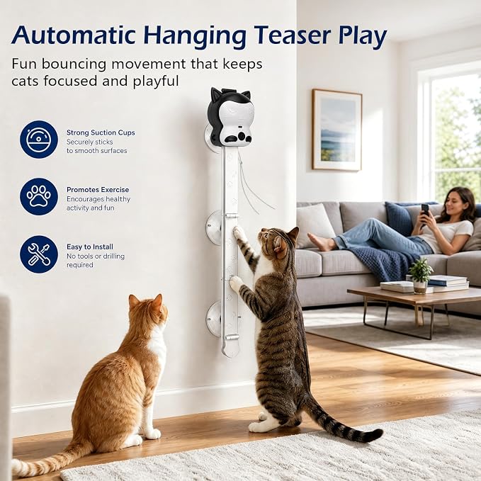 2-in-1 Electric Cat Toy, Automatic Interactive Cat Wand with 2 Play Modes (Track Chase & Bounce), Indoor Exercise Toy for Kittens & Adult Cats