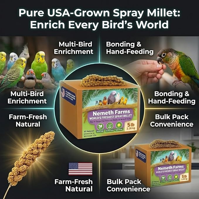 Nemeth Farms Spray Millet - Edible Tops Only, Non-GMO and Sun-Dried - 5 lbs for Parakeets, Conures and Cockatiels