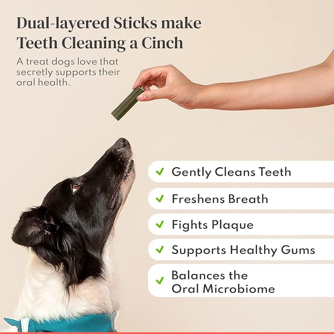 Dental Chews for Dogs – Scrapes Plaque, Freshens Breath, Fights Tartar – Dual-Layered Dog Dental Treats with Probiotics – Vet Formulated with 16 Active Ingredients – All Dog Sizes – Made in The USA