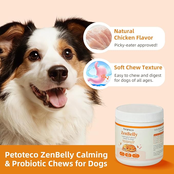 ZenBelly Calming Chews for Dogs, Probiotic Calming Treats for Stress Support, Separation Anxiety, Travel, Thunderstorms & Fireworks, Hemp Free, Grain Free, Chicken Flavor, 120 Soft Chews