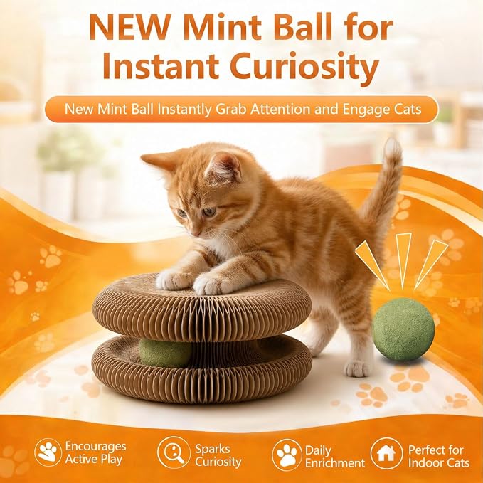 Cat Toy, Cat Scratchers for Indoor Cats, Magic Organ Foldable Cardboard Cat Scratcher, Cat Toy Interactive Relieve Boredom and Exercise