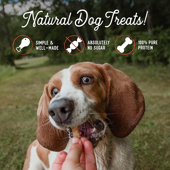 Beg & Barker Pork Jerky for Dogs (4 oz, Pack of 1) - Dog Training Treats - Natural Dog Treats Made in the USA - Grain Free, Diabetic-Friendly, High Protein, Sugar-Free (Pork Dog Jerky)