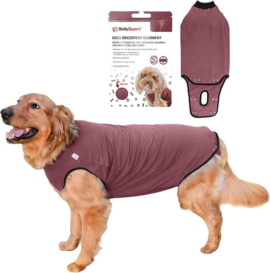 BellyGuard Dog Surgery Recovery Suit, Post-Op Dog Recovery Suit for Female Spay & Male Neuter, Comfy Onesie for Pets, Surgical Body Cover for Canine Healing Support