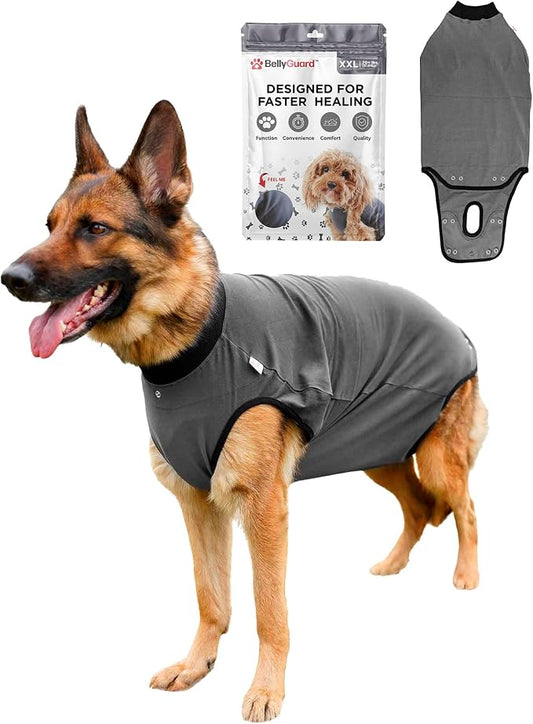 BellyGuard Dog Surgery Recovery Suit, Post-Op Dog Recovery Suit for Female Spay & Male Neuter, Comfy Onesie for Pets, Surgical Body Cover for Canine Healing Support
