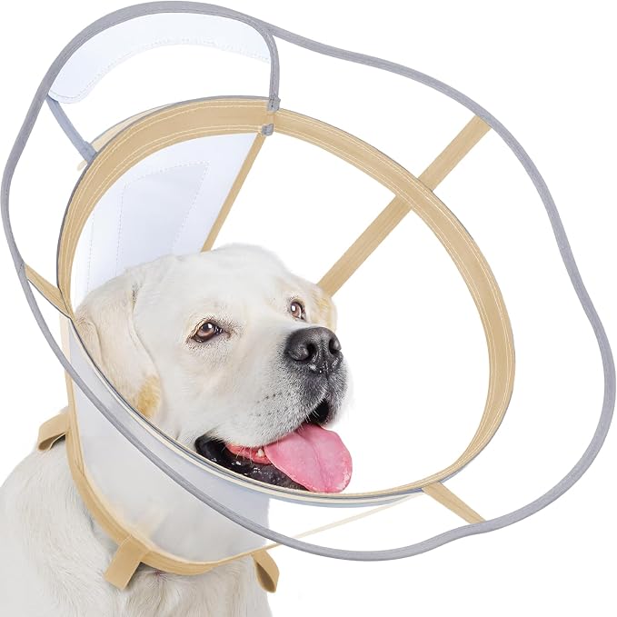 Dog Cone Collar, Clear Recovery Cone to Stop Licking, Adjustable Depth for Large Dogs, E-Collar with Reflective Strip for Night Visibility After Neuter XL