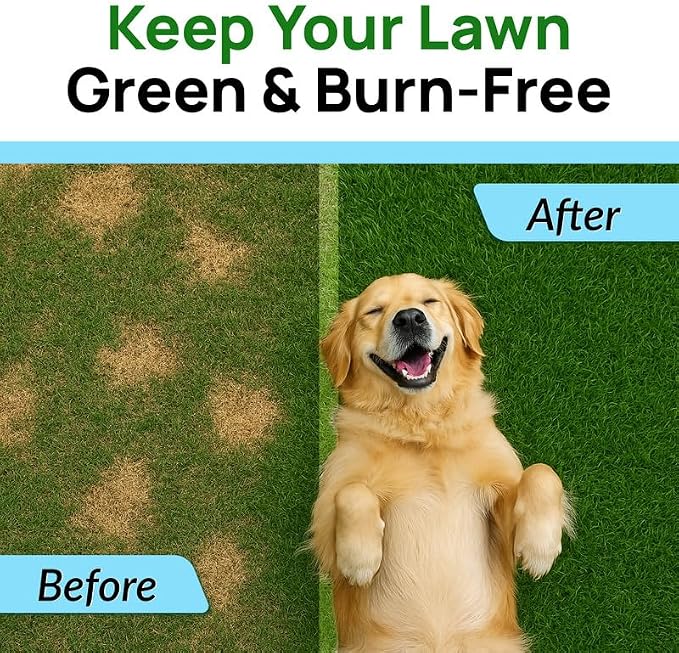 PAWFECTCHEW Green Grass Dog Chews with Probiotics – Lawn Burn Support – Dog Urine Neutralizer for Grass – Pee Spot Control – Gut & Urinary Health – 240Ct