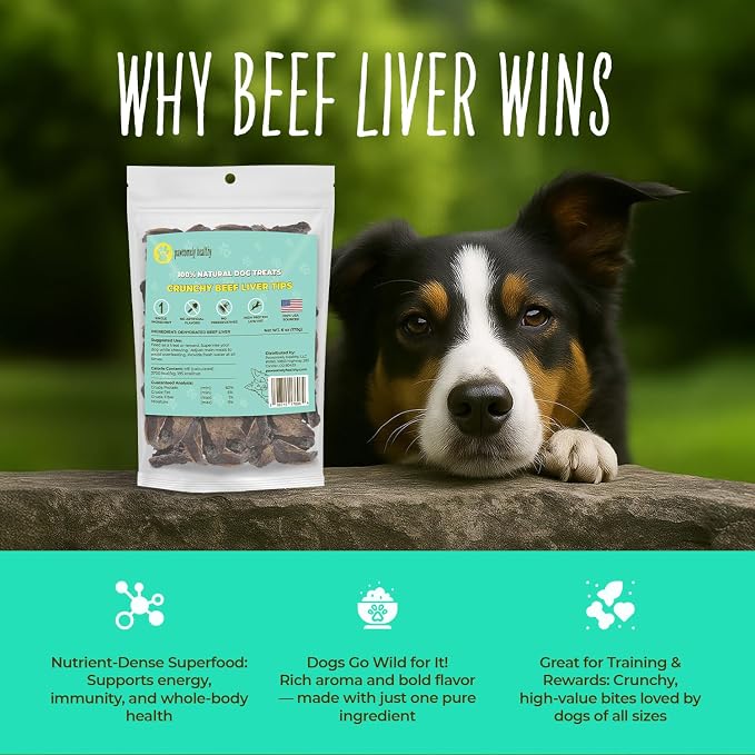 Pawsomely Healthy Beef Liver Dog Treats – 100% Single Ingredient Air-Dried Training Rewards & Meal Topper – No Fillers or Additives, Grain-Free – for Picky Eaters – Made in USA, 6 oz
