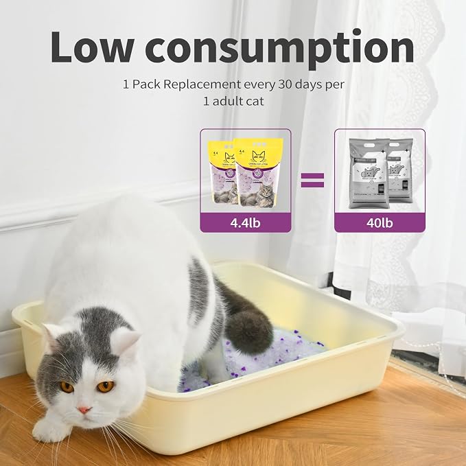 ABCPET Cat Litter Crystals No Clumping Odor Control Kitty Litter Non-Clumping No scooping Low Dust, Low Tracking, Dehydrates Waste Lavender - 8.6 lbs (2 x 4.3 lb Packs)