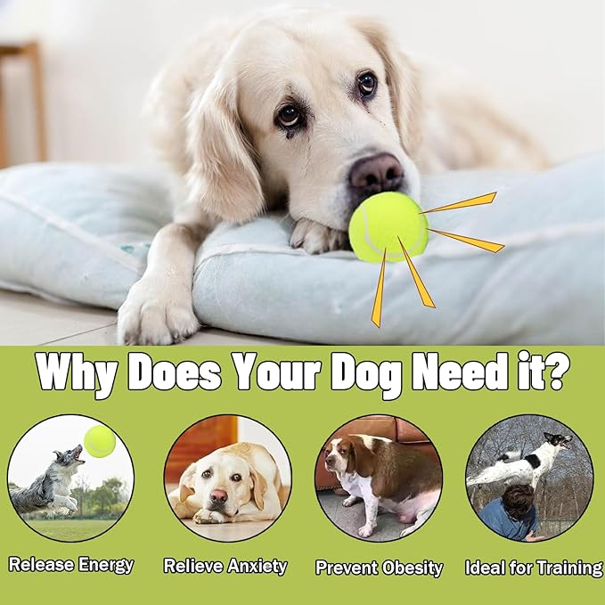 Magicorange Dog Tennis Balls, 40 Pack 2.5 inch Floatable Squeaky Tennis Balls for Fetch Exercise, Natural Rubber Squeaky Dog Balls Training Safe (Multicolor, 40 Pack)