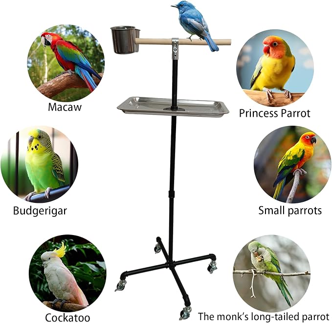 Stainless Steel Tray Bowls Bird Perch Stand,with Wheels Parrot Stand,Parrot Perch Stand 2 Stainless Steel Cups,Bird Play Stand for Indoor Outdoor(Black