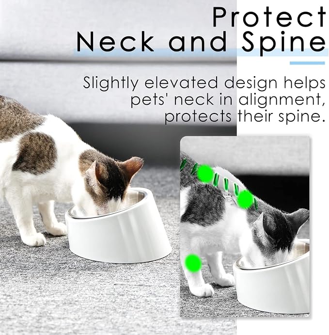SuperDesign Mess Free 15° Slanted Bowl for Dogs and Cats, Tilted Angle Bulldog Bowl Dog Feeder, Non-Skid & Non-Spill, Easier to Reach Food S/0.5 Cup White