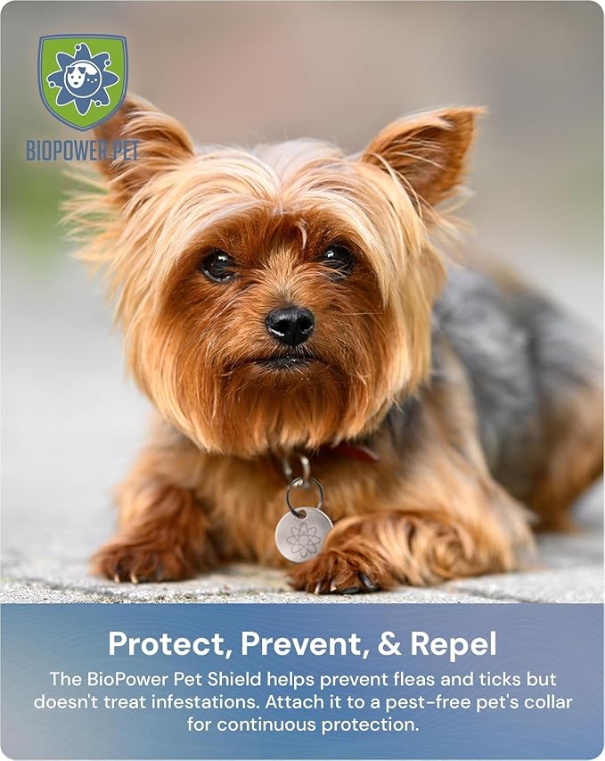 Shield Tag - Natural Flea & Tick Repellent Collar Tag for Dogs & Cats - Waterproof, Lasts 12 Months - Stainless Steel Pendant - Regular Tag (2 Pack)