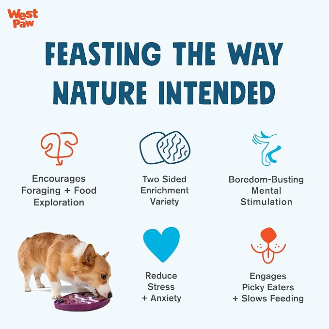 West Paw Seaflex Bubbles Feast Mat – All-in-One, Slow Feeder, Lick Mat – Encourages Foraging & Food Exploration - Engages Picky Eaters & Slow Feeding - Versatile – Easy to Clean, Non-Toxic - Kelp