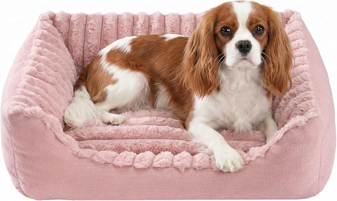 Avont Supportive Dog Bed for Small Dogs & Cats, Plush Foam Fill, Pink | Removable Machine Washable Cover, Low 5.12" Entry for Pups & Seniors, 7:3 Foam-PP, Non-slip Bottom, Hidden Chew-proof Zippers