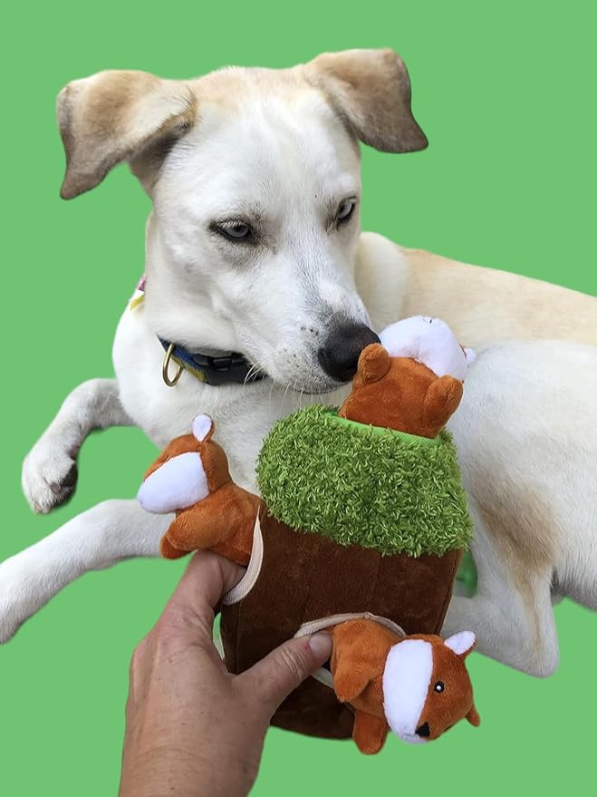 Glow Pups Hide and Seek Dog Toy, Plush Fox Inside Trunk, Squeaky Interactive Burrow Toy for Mental Stimulation, Durable & Engaging, Woodland Style, Small, 3 Animals
