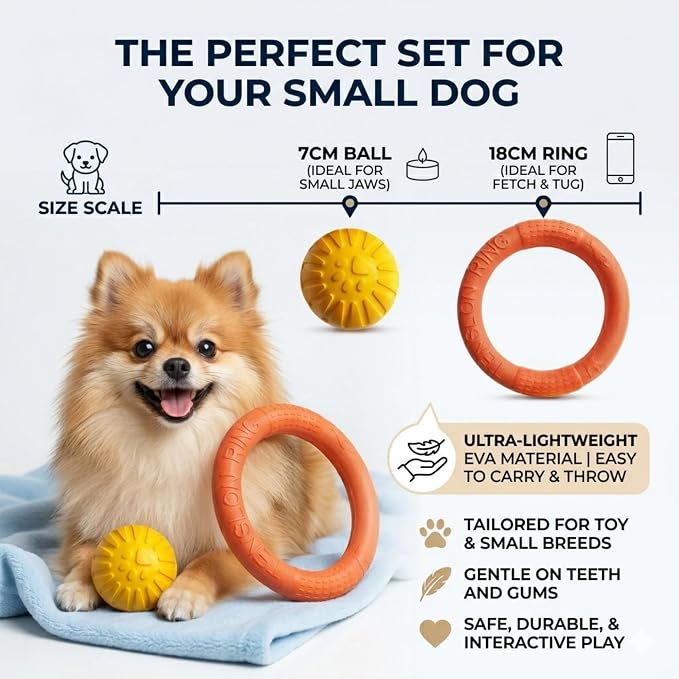 Floating Ring & Ball Combo Set, 2 Pack EVA Water Fetch Toys for Dogs, Durable Chew Tug Toy for Small Medium Large Dogs, Pool Beach Interactive Play (Orange, Small)