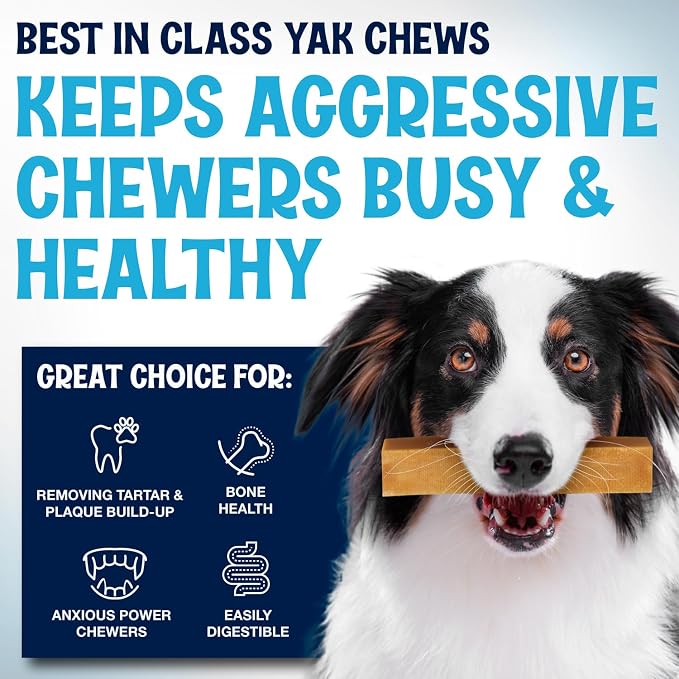 Himalayan Yak Cheese Chews - Natural Dog Bones - Yak Cheese Himalayan Dog Chews – Long Lasting Himalayan Dog Cheese Chew - Yak Chews for Large, Medium and Small Dogs (Large, 5 Pack)