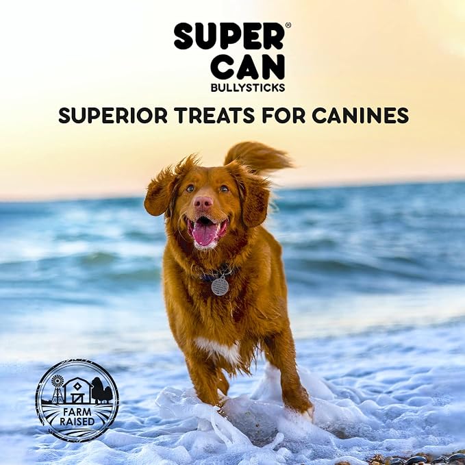 SUPERCAN 6" Bully Sticks for Dogs (10 Pack) – 100% Natural | Long-Lasting Dog Chews | Free-Range, Grass-Fed Beef | High-Protein | Odor-Free | Rawhide Alternative – Healthy Dog Treats