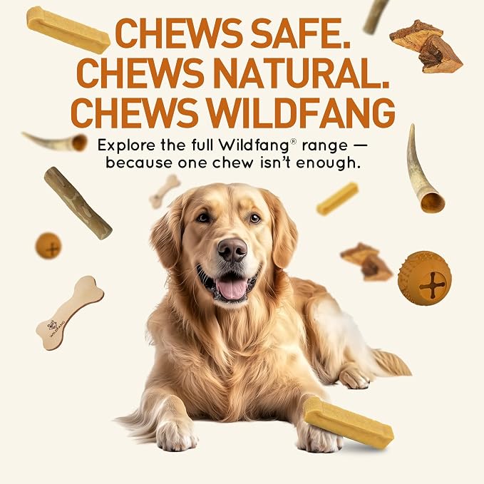 Wildfang® Yak Chews, Small for Dogs 22-33 lbs – Dog Dental Chew Stick, Hardness Like Himalayan Yak Cheese, Churpi-Style Cheese Sticks, Dog Treats & Puppy Training Treats, Approx 2 oz, Pack of 1
