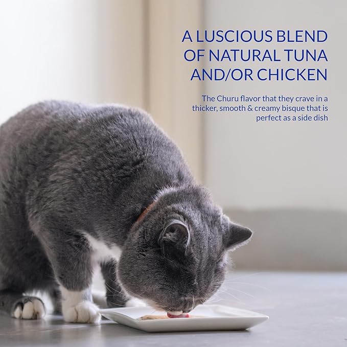 INABA Churu Bisque for Cats, Creamy Purée Side Dish Pouch, 1.05 oz Pouches, 15 Pouches Total, Chicken Variety