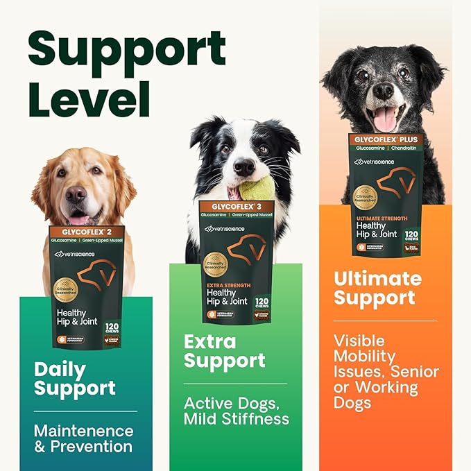 VetriScience Ultimate Strength Healthy Hip & Joint Chews, GlycoFlex Glucosamine, Chondroitin and Green-Lipped Mussel Joint Support Supplement for Dogs, Soothe Joint Discomfort, Duck, 60 Count