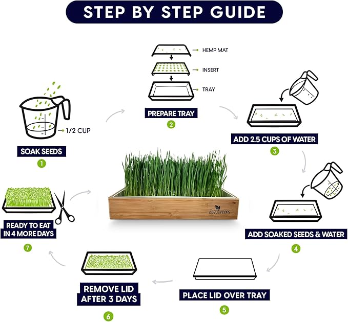 Self-Watering Cat Grass Kit and Cat Grass Refills - 4 Mats and 4 Cat Grass Seed Packets (Cat Grass Refill Kit)