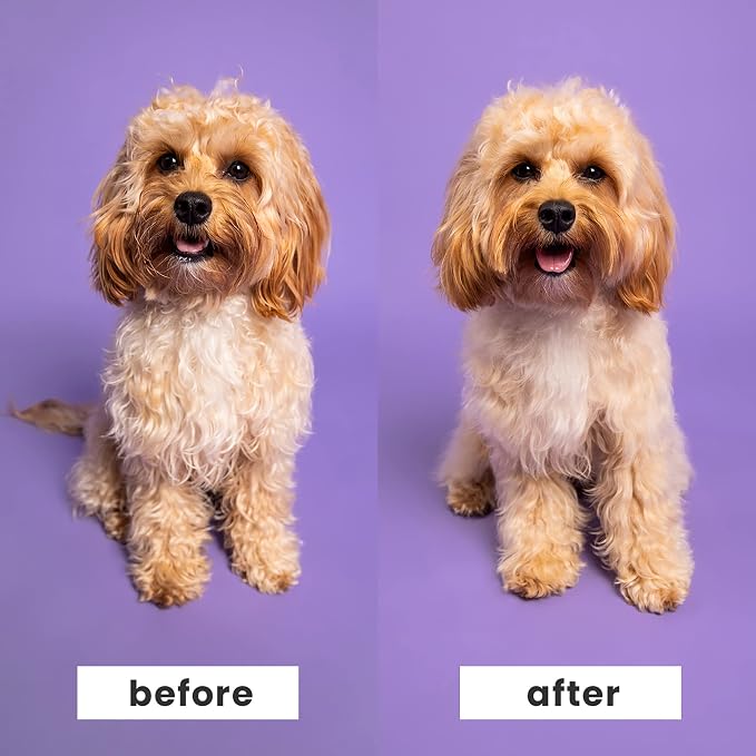 Pet Teezer by Tangle Teezer De-Shedding and Detangling Dog Brush Duo, for Wet or Dry Fur