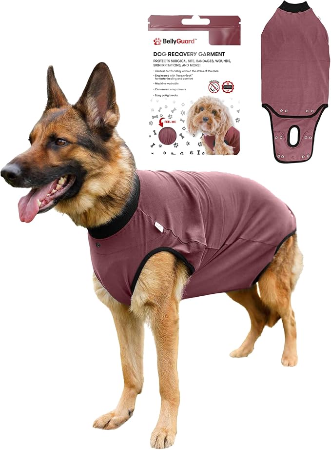 BellyGuard Dog Surgery Recovery Suit, Post-Op Dog Recovery Suit for Female Spay & Male Neuter, Comfy Onesie for Pets, Surgical Body Cover for Canine Healing Support