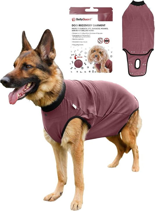 BellyGuard Dog Surgery Recovery Suit, Post-Op Dog Recovery Suit for Female Spay & Male Neuter, Comfy Onesie for Pets, Surgical Body Cover for Canine Healing Support