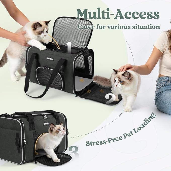 rabbitgoo Cat Carrier Soft Sided, Stable Portable Pet Carrier with Safety Buckles for Car Travel Vet Visit Airline, Comfortable Breathable Kitten Bag for Small Medium Large Cat, Black, 19x12x12 inch