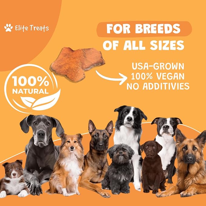 Sweet Potato Dog Treats Made in USA | 100% Natural, One Ingredient | Grain-Free Vegan Dog Treats for Puppies, Small, Medium & Large Breeds - 15 oz