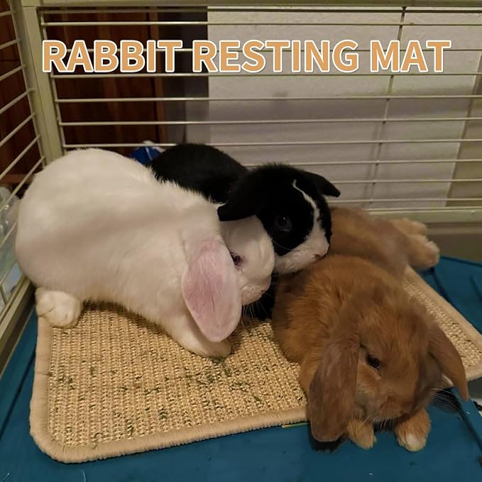 2 Pcs Rabbit Scratching Pad Natural Sisal 16x12in Bunny Toys Chew Mat for Nails Grinding, Digging & Resting – Safe Cage Liner Rug for Rabbit, Guinea Pig, Ferret Toy
