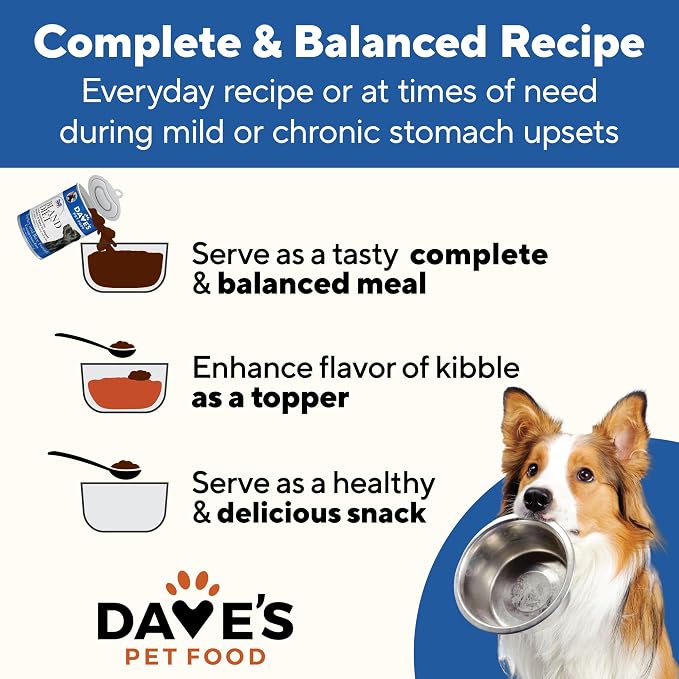 Dave's Pet Food Bland Diet Dog Food (Turkey & Rice), Sensitive Stomach, Easy to Digest Pate, Gluten-Free, Digestive Care, Low Fat (5%) Limited Ingredients, Complete & Balanced, 13.2 oz (Case of 12)