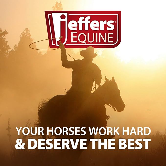 Jeffers Motion Potion Horse Joint Supplement Pellets – Glucosamine HCL, MSM, Chondroitin, Hyaluronic Acid, Vitamin C & E, Daily Equine Support for Senior & Active Horses – 10 lbs, 160 Day Supply