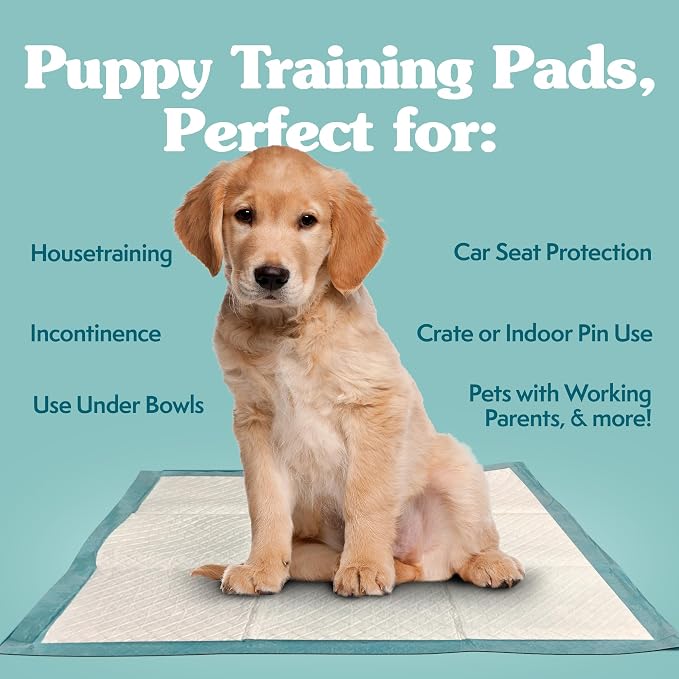 Simple Solution Extra Large Pee Pads For Dogs, Puppy Potty Training, Leak Proof Dog Pads, Pet Pee Pad, Disposable Puppy Pad, XLARGE 28"x30", 100 Count