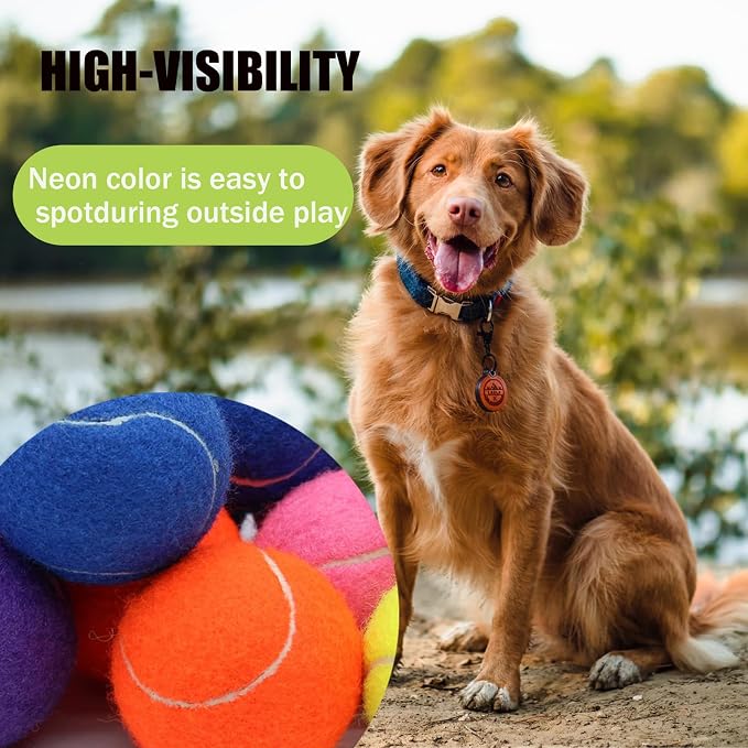 Magicorange Large Tennis Balls for Dogs, 6 Pack 4 Inch Big Tennis Ball Pet Chew Toy Large Balls for Outdoor/Indoor Sports (Multicolor, 6 Pack)